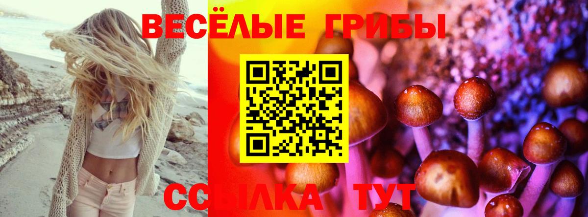 Галлюциногенные грибы Psilocybe Малоярославец
